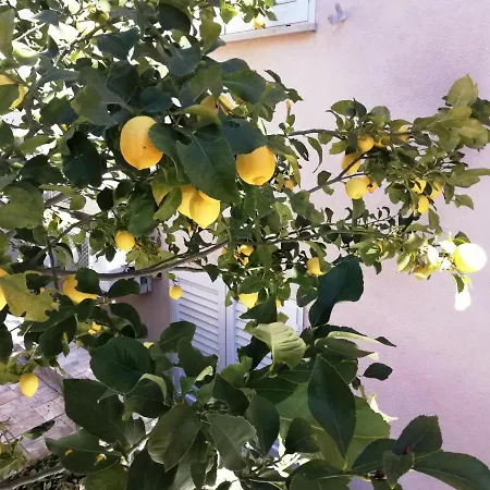 Appartementhaus Elena Appartamento