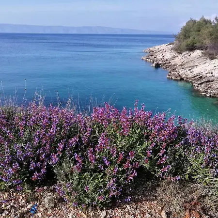 Appartementhaus Elena * Jelsa (Hvar)